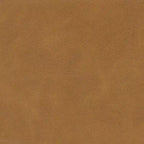 Fauteuil d'appoint moderne HomePop