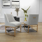 SEYNAR Contempoary Velvet Dining Chair with Metal Frame Legs, set of 2