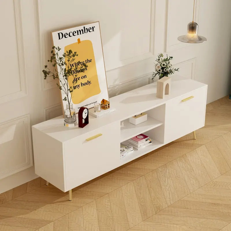 Meuble TV avec 2 portes