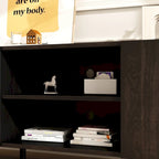 Meuble TV avec 2 portes